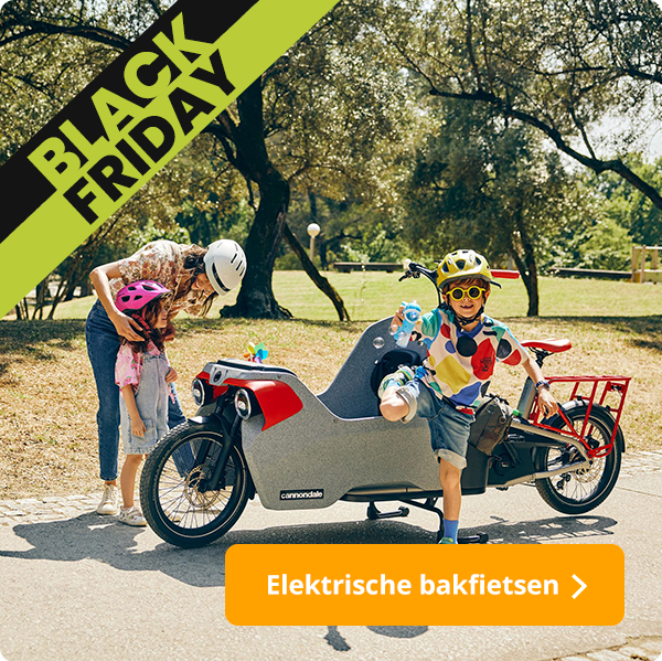 Elektrische bakfietsen