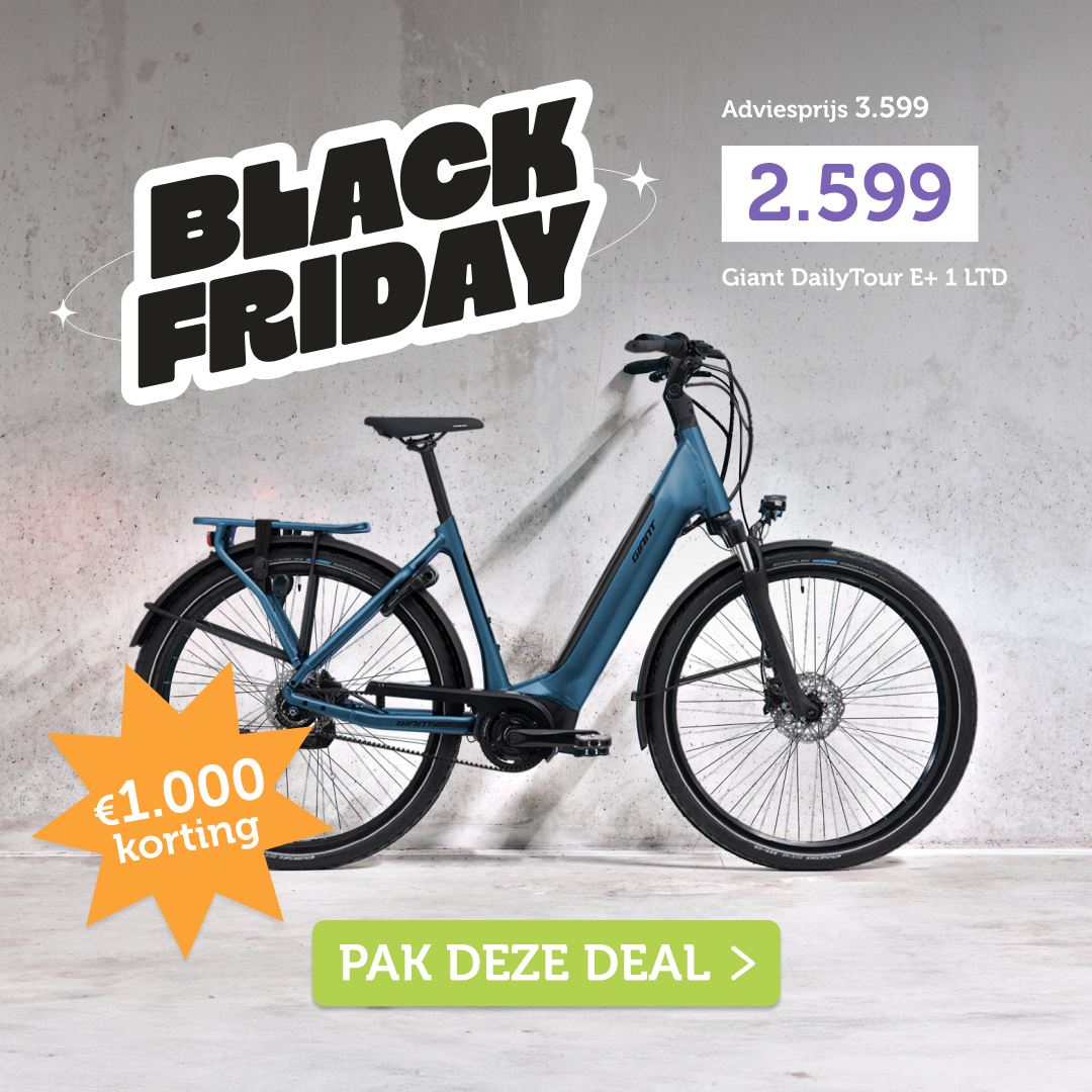 Giant Dailytour E+ 1