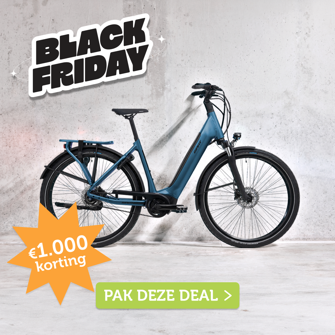 Giant Dailytour E+ 1 Giant Dailytour E+ 1