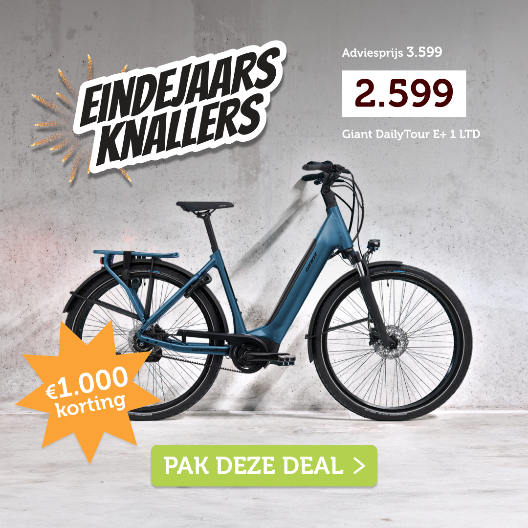 Giant Dailytour E+ 1 Giant Dailytour E+ 1