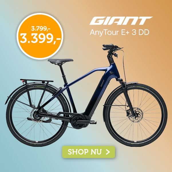 Giant AnyTour E+ 3 DD