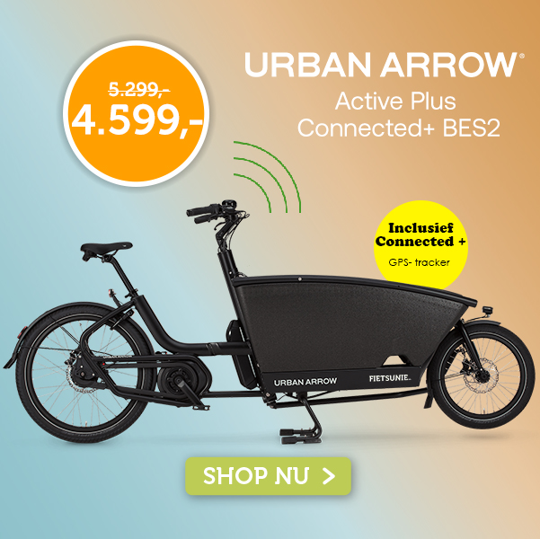 Urban Arrow Active Plus 