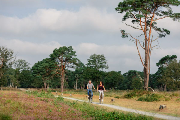 De leukste fietsroutes van Drenthe