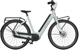 Cortina E-Common Integrated | Dames | Seagrass Gloss