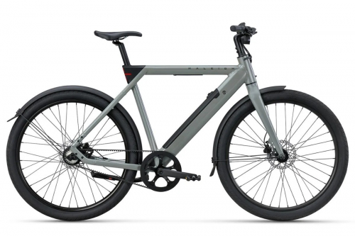 Raleigh One | Unisex | Sage Grey