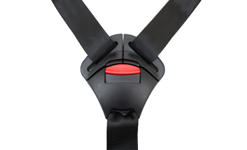 Cangoo Buckle Up Gordel