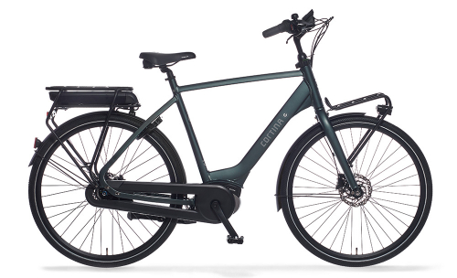 Cortina E-Common | Heren | Dark Green Metallic Matt