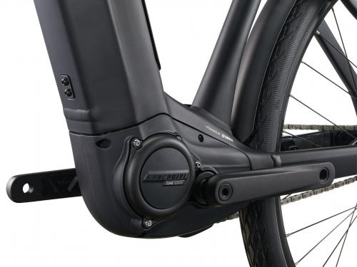 Giant AnyTour E+ 6 DD | Heren | Cold Iron