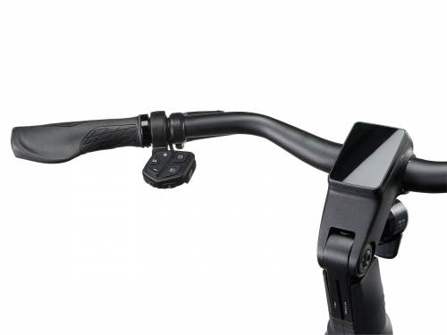 Giant AnyTour E+ 6 DD | Heren | Cold Iron