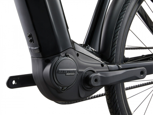 Giant AnyTour E+ 1 | Dames | Black Diamond